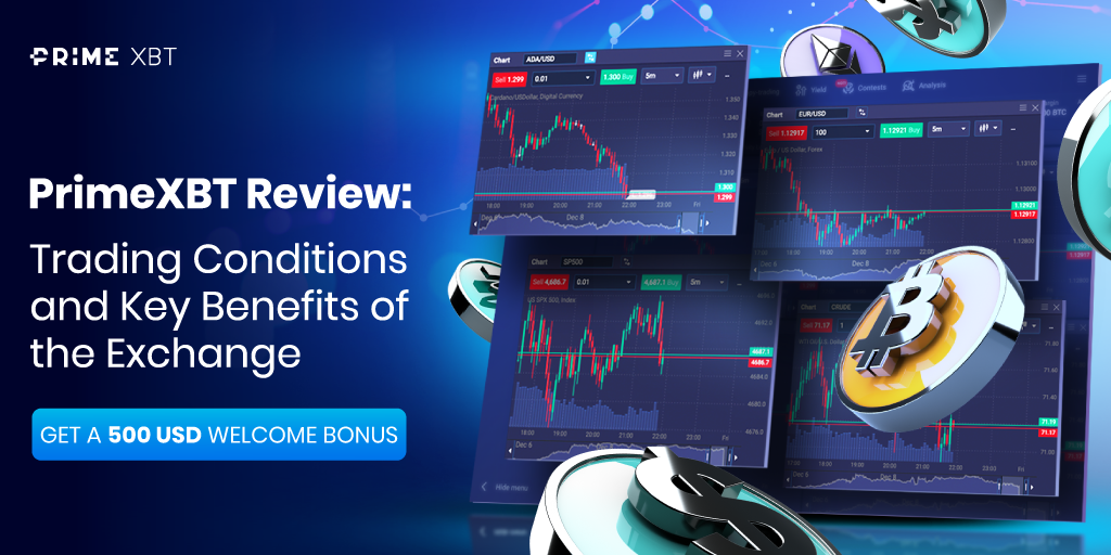 PrimeXBT vs Pocket Option Which Trading Platform is Right for You