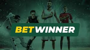 BetWinner Bookmaker Your Ultimate Guide to Betting Success